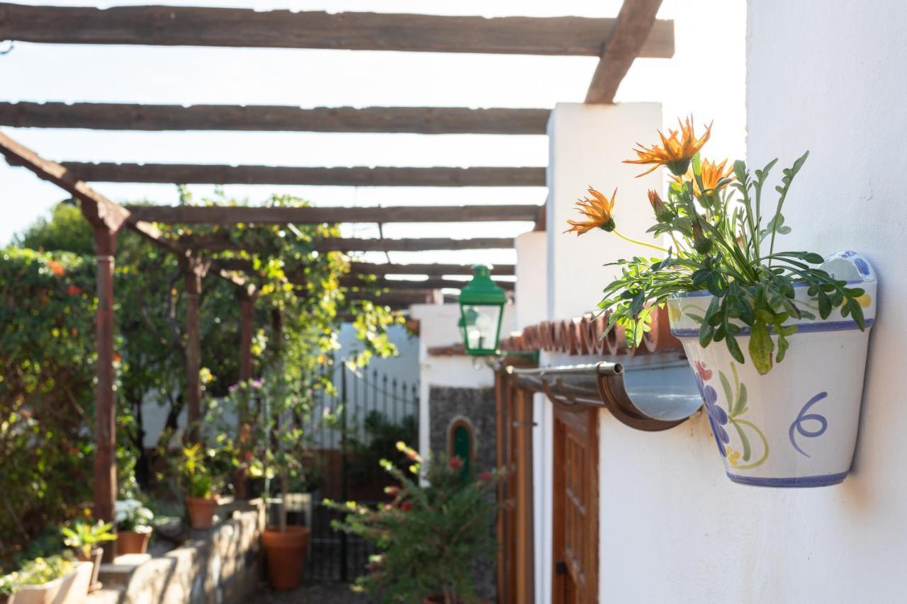 Arafo Casa Del Cura Viejo旅馆 外观 照片